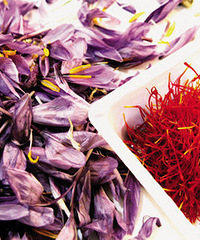 �뵽������ɶ�;��ţ�26�����ұ��������Ƽ���