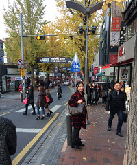 深秋韩国首尔行。附东大门、乐天免税店攻略(更新完毕)。