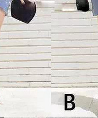 ЩЬȳЩ߸ЬƽЬȶ̣