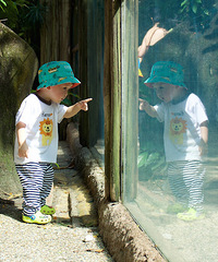 �����������������¼��£���ɽż������~