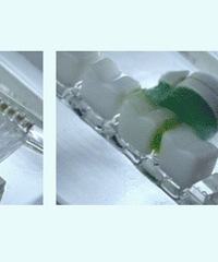 Ҫķֵ綯ˢ˿ͶͯУ