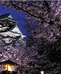 һ��12�������ʺ϶����µĵط������һ��������