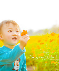 这是一个春暖花开的季节