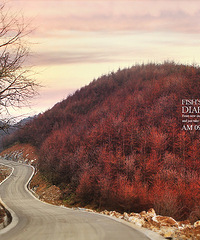 ���������ܱ�����õط����������������ĵط���������