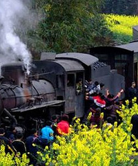 �������:����ɽ��ʳ,�������