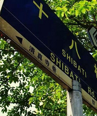 让我静静? 重庆这些地方能让你静静地待一下午
