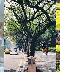 �ֻ������ģ�һ����������Ĵ���