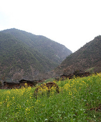 ����װ�ƴ���ɡ��������塰���Ρ��ǣ����ٸ�ing��