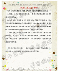 ~喵与兔·蜜月在马代~【重航游记大赛】