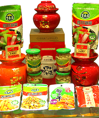 �����ò����Ų��� ƫҪ���ݲ��·�