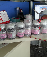 我叫王大锤,迎娶白富美,走向人生巅峰~附15分钟无侧切顺产攻略