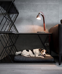 ʵ򵥺ڰ׻ңķƣԼ