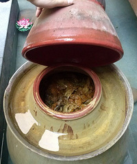 记忆中的泡菜 亲情的味道