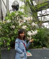 4月(94)宁愿错,也不要错过,帮一个妹妹征婚