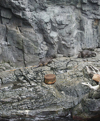 ��ı�Ѿõ��ձ������У�ӣ����һ����������(���꿩~)