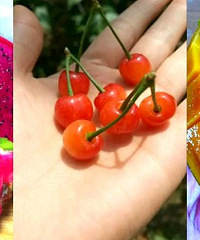 ˮ�������ģ���RIO��β��