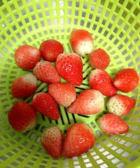 ��ö�óԹ����ճ�show