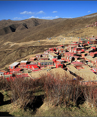 ���쾻����ɫ�ɫ���������ʵ����ȫ���ɫ���Լݹ��ԣ�