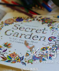 韩国秘密花园secret garden系列填色解压填色本