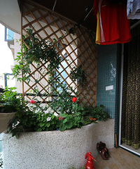 ҲҪʽֻҪ׵ĺڰ׻ִ硿---ʱһ꣡۰