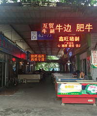 万吨冻库采购攻略(中号耗儿鱼15.00/斤 2.00/条)