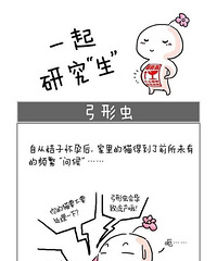 猫与人的流言终结者(远离谣言和愚昧) 弓形虫科普