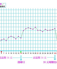 二宝来临,备孕一月成功,已官方确认,接宫内好孕哦【备孕历程】