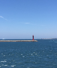 MERS横行,我们仍然玩在济州