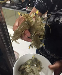 看到此贴的人,你们随便吃不长胖 +【美食狗仔大PK】