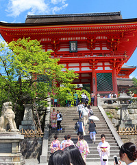 樱花已逝枫叶未红,风华依然绝伦——初探の关西