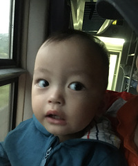 小二狗的"快乐"旅程