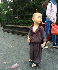 小hs下山之华岩寺求佛。