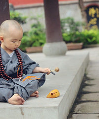 小小萌hs养成记