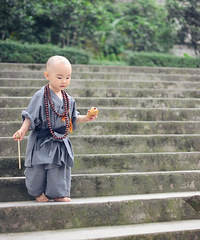 小小萌hs养成记