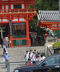 樱花已逝枫叶未红,风华依然绝伦——初探の关西