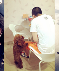 ���ַ����ֻ�������ĵ�������Ƭ