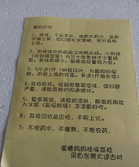 日啖荔枝三百颗,不辞长作岭南人---蜜糖妈妈家桂味荔枝试吃