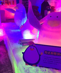 参加南山郡的南山冰雪节