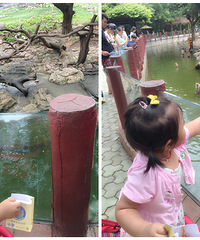 母女俩重返合体时光——好妈好妹珠海、广州长隆三日游