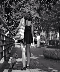 -------------CC小胖妹----------------------
