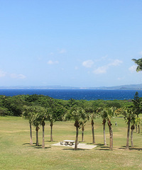 ̨ʮջһ󲨺óԺúȺĸͼ