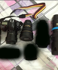 ĵְ֮+嵺14Уȫ꣩