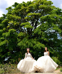 �������ߵ�С���·���ɴ�ա�~&~����������ʳ �����