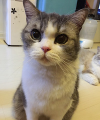 ���ڿ��ԺͶ���˵���ݰݡ���+��2015���п�ƿ�ǡ�