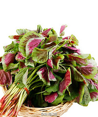苋菜有毒?驻马店老太太吃苋菜后变”黑脸“