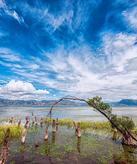 湖的呢喃——辞职旅行之洱海泸沽湖青海湖环线(全文完)
