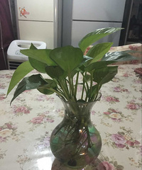 【我的淘宝成果】淘宝八年多,已成习惯,看看我败的各种DD!新更