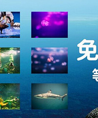 ���컶�ֺ������磬20�����������