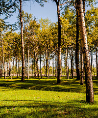 ������ૡ�����ְ����֮����������ຣ�����ߣ�ȫ���꣩