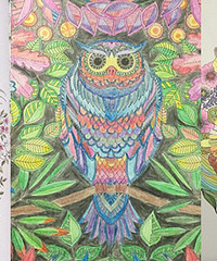 ��ɹɹ�㻭�����ܻ�԰�ɣ�